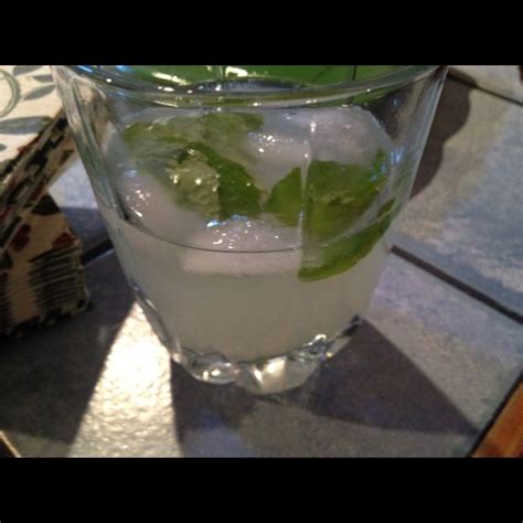 Enjoy at your next summer barbecue. Limeade mojitos | Limeade, Mojito, Mixology