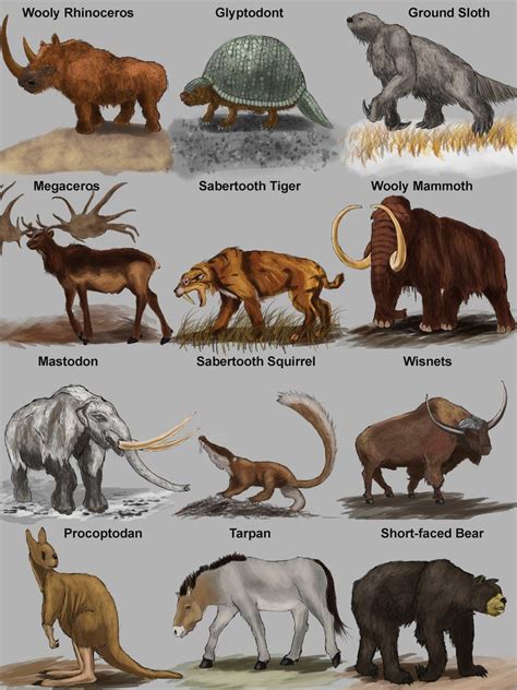 Image Result For Prehistoric Mammals Prehistoric Animals Ancient