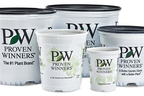 Pw Branded Containers Proven Winners Self Symetricize Pot And Tray