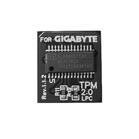 Gigabyte Gc Tpm Trusted Platform Module In Vendita Picclick It