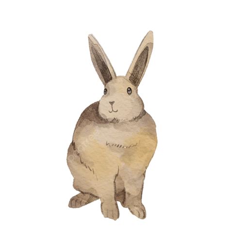 Cute Adorable Bunny Watercolor Style Rabbit Bunny Animal Png