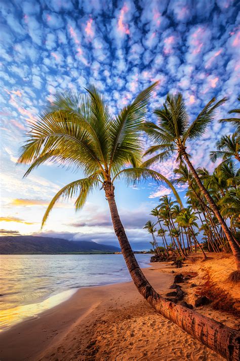 Island Time Maui Hawaii
