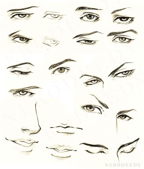 We did not find results for: Tutorial - Male Eyes for Manga by nekodeedy. | Drawing - Design Reference: Anime/Manga ...