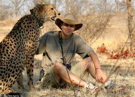 Sylvester The Cheetah Has Become His Trainers Constant Companion After