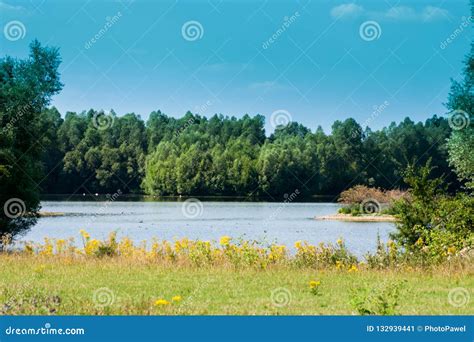 A Beautiful Lake And Lots Of Greenery Around Forest In The Background