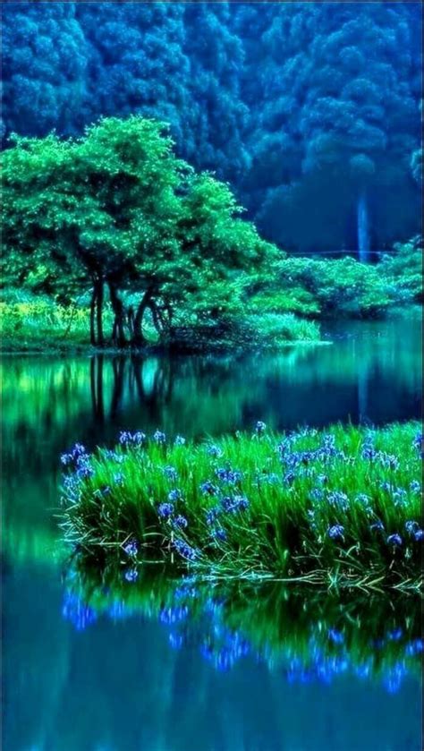 Pin By Shelle 💜 On Blue And Green Nature Photography Nature Nature