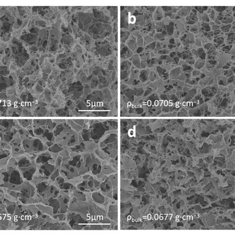 Sem Images Of Cellulose Aerogels Prepared In Naoh Urea Solution After Download Scientific