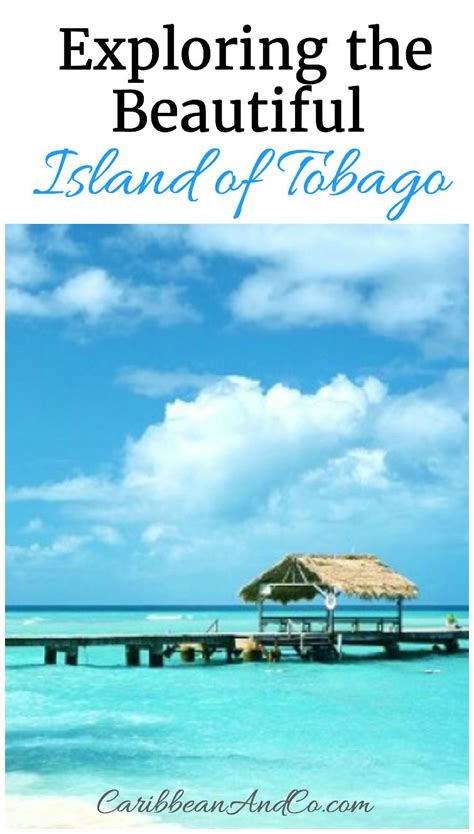 Exploring The Beautiful Island Of Tobago Vacation