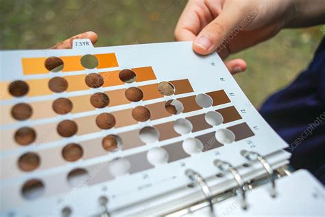 Soil Colour Chart Stock Image F0323992 Science Photo Library