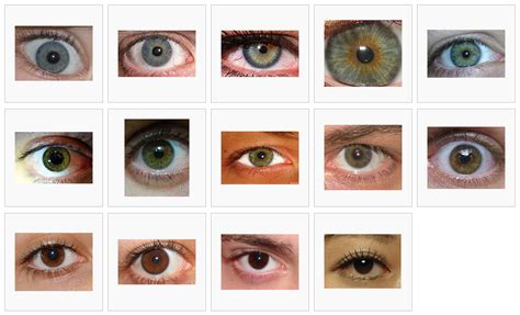 Human Eye Color Chart Porn Sex Picture