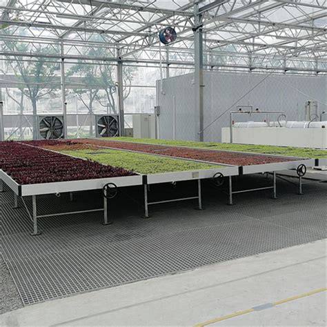 Factory Hot Sales Hydroponic Ebb And Flow Tables Flood Trays Seedbed