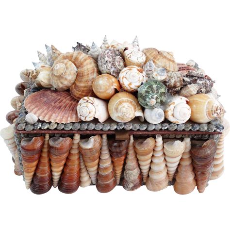 Large Sea Shell Box From Faded Rose Antiques Llc On Ruby Lane