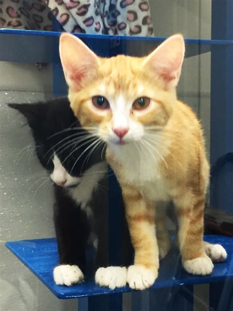 Everyone say goodbye!... - Pet Supplies Plus - Wichita, KS