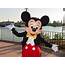 √ Mickey Mouse HD Wallpapers  Wallpaper202