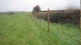 Wood Fencing Red Deer