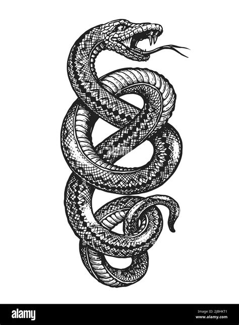 Snake Drawing Black And White Stock Photos And Images Alamy