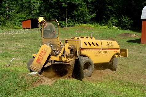Stump Grinding A And L Tree Experts