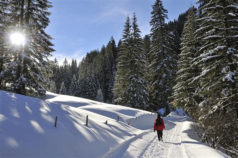 Walk In Sunny Winter Landscape Photograph By Matthias Hauser Fine Art