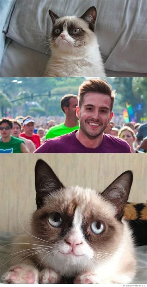 Grumpy Cat Smiles With Images Grumpy Cat Funny Photogenic Guy