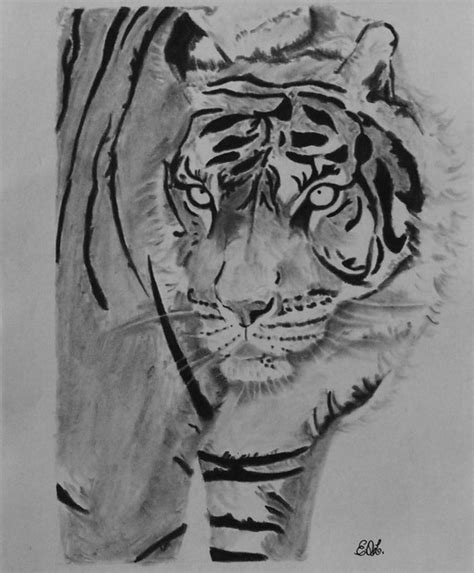 Dibujos Tigres A Lapiz Imagui Dibujos De Colorear
