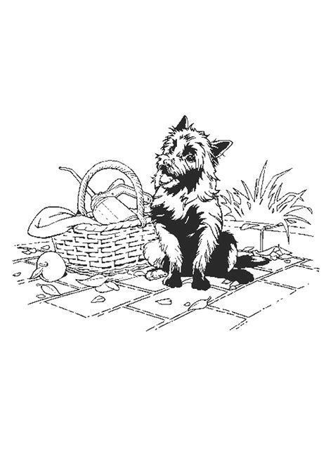 You may also furnish details as your child gets engrossed. Wizard of Oz Coloring Pages