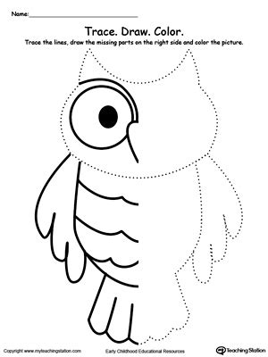 Leaf Mirror Image Worksheet | MyTeachingStation.com