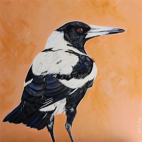 The australian magpie, cracticus tibicen, is conspicuously pied, with black and white plumage reminiscent of a eurasian magpie. Magpie - Art Lovers Australia