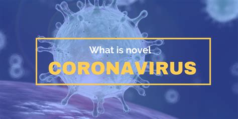 When scientists found out that it was making people sick in 2019, they named it as a novel. Guidance on Outbreak of Novel Coronavirus (COVID-19 ...