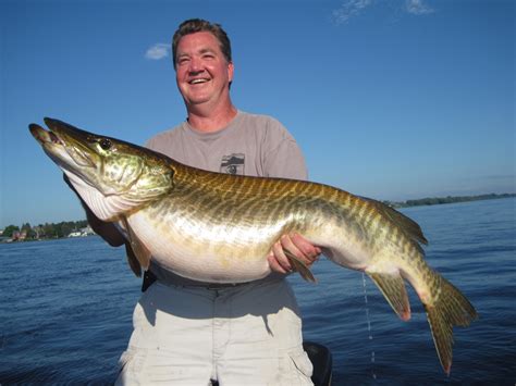 Rare Freak Tiger Muskie Could Have Been A World Record Outdoor Life