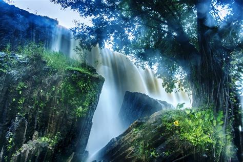 Gambar Pemandangan Alam Hutan Batu Air Terjun Cahaya
