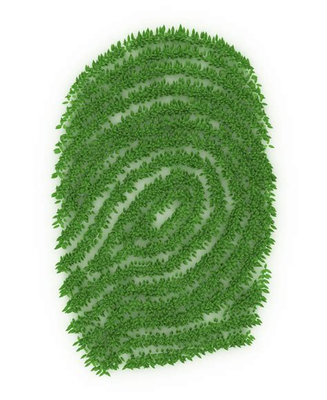 La huella ecológica y su aumento en relación con la cultura del desecho. ¿Qué es la huella ecológica? - BLOG | UTEL