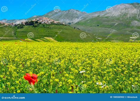 Horizontal Shot Of The Breathtaking Landscape And Flowers Of