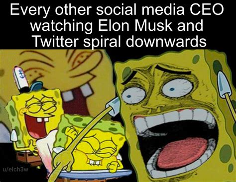 Funny to watch him get trolled : r/BikiniBottomTwitter