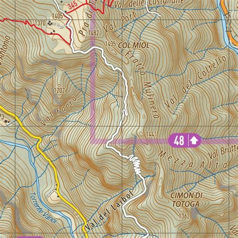50 Valle Del Vanoi Cima Dasta Map By Geoforma Fze Avenza Maps