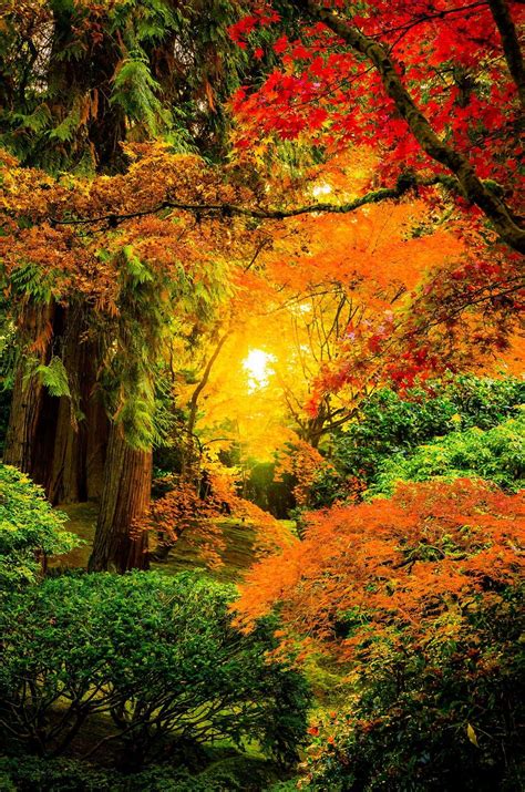 A Feast Of Colors Sunrise Japanese Garden Portland Oregon By Derek