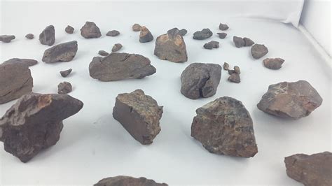 With roxanne hart, tom wopat, pato hoffmann, amiel daemion. 1 kg unklassifizierter NWA Meteoriten