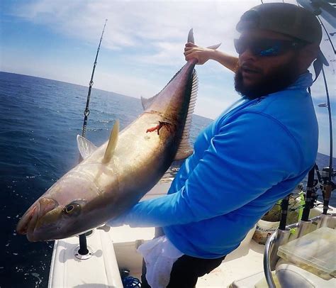 Miami Offshore Fishing Monster Amberjack Off A Wreck Youtube