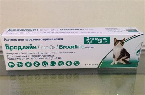 Cat Scratch Disease Antibiotic