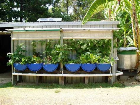 Before you begin ordering supplies for your diy aquaponics system, you need to have an idea of scale. Easy Diy Aquaponics System Review