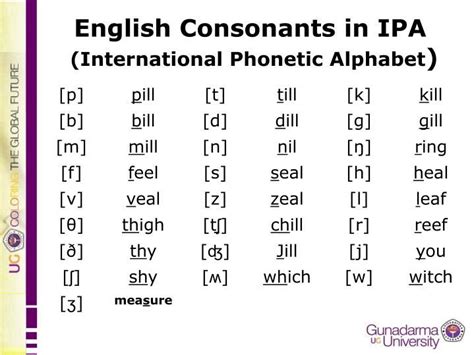 IPA Jae Chamberlain