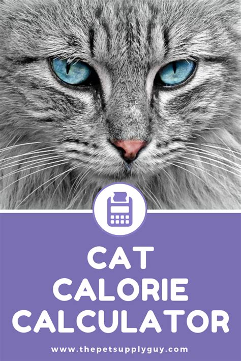 You may see the calorie listing as calorie or as kilocalorie, which is the same thing. Cat Calorie Calculator - How Many Calories Do Cats Need ...