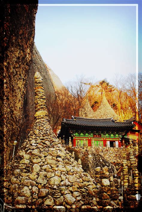 Journey To South Korea Encased Umbilical Cords And Piles Of Rocks