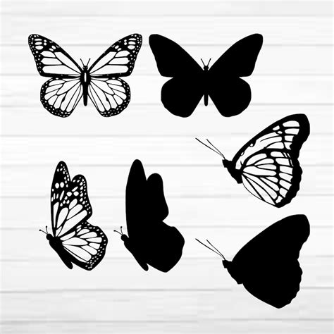 Layered Butterfly Bundle Cricut SVG Files Butterflies | Etsy