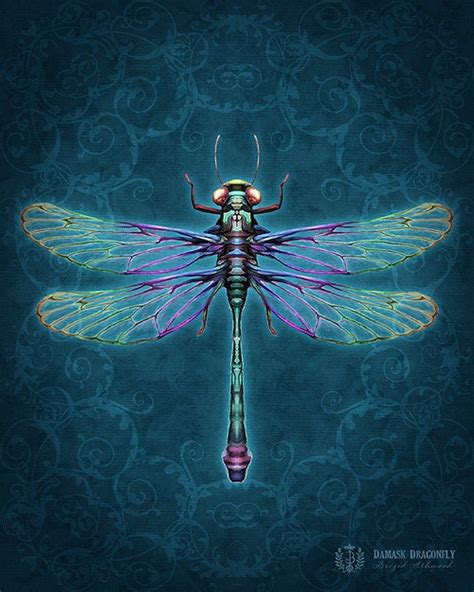 Items Similar To Damask Dragonfly Art Print Brigid Ashwood On Etsy