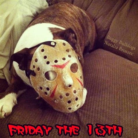 Friday The 13th Baggy Bulldogs