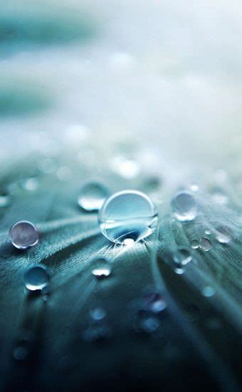 Water Drop Wallpapers Hd