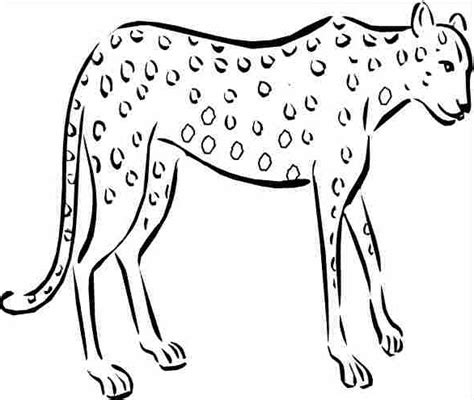 Beautiful savanna the cheetah metal poster created by susana segatto. Cheetah Drawing Kids at GetDrawings | Free download