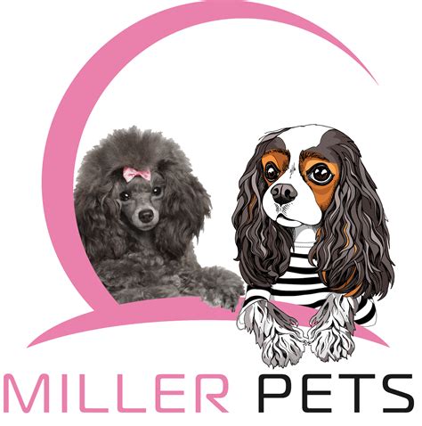 Blog | ERBS Luxury Doodles