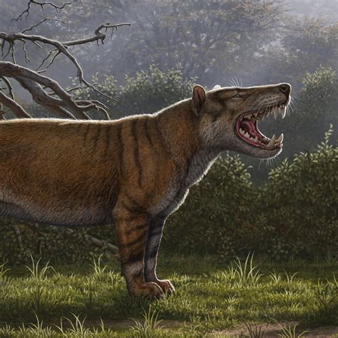 New Species Of Giant Fossil Carnivore Found In Kenya