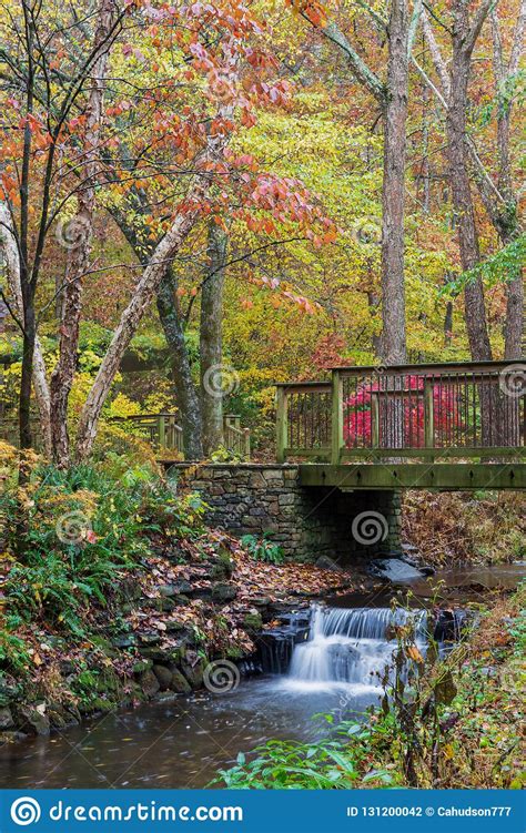 Wooden Bridge Over A Creek With Colorful Fall Foliage At Gibbs Gardens